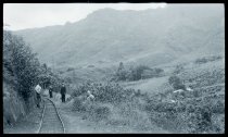 Sacred Hearts religious along railroad tracks in Kalihi-Uka, Oahu.